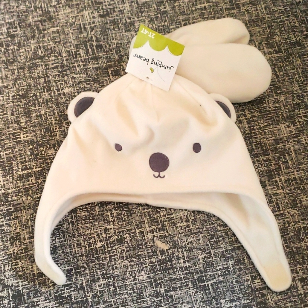 NWT hat and mitten set